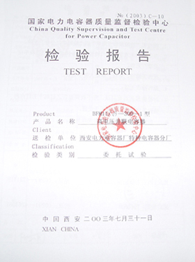 <高压并联电容器检验报告>